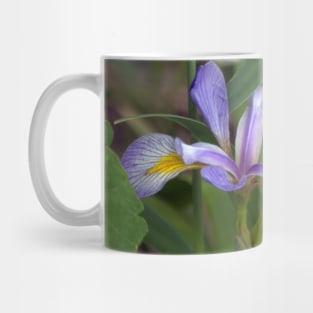 Blue Flag Iris Mug